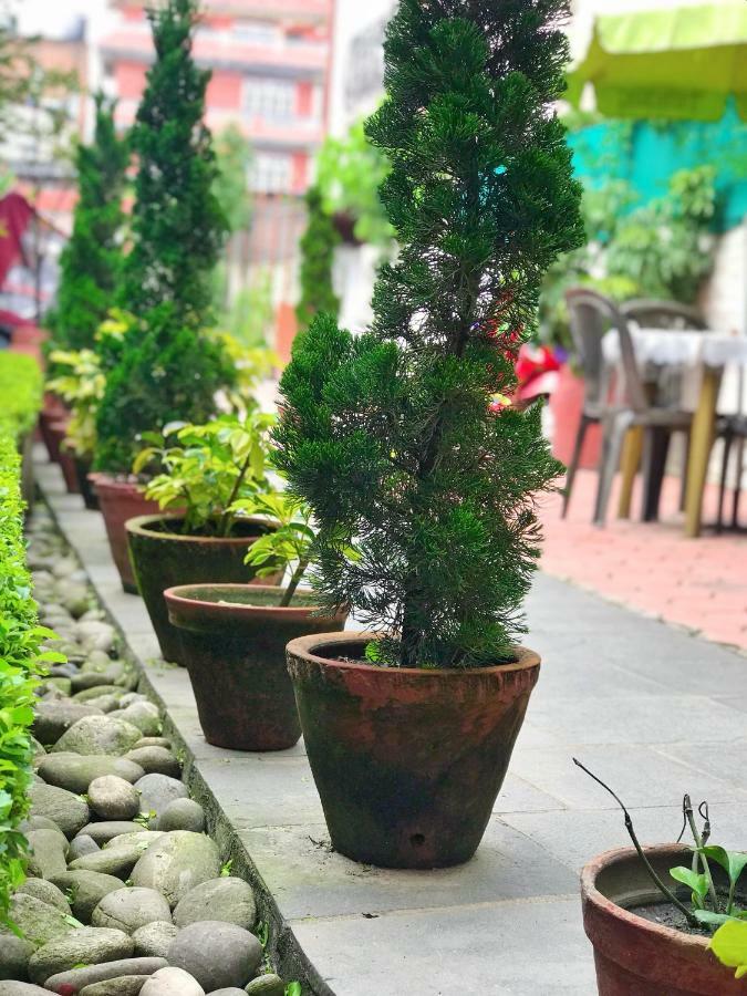 Hotel Tranquil Kathmandu Bagian luar foto